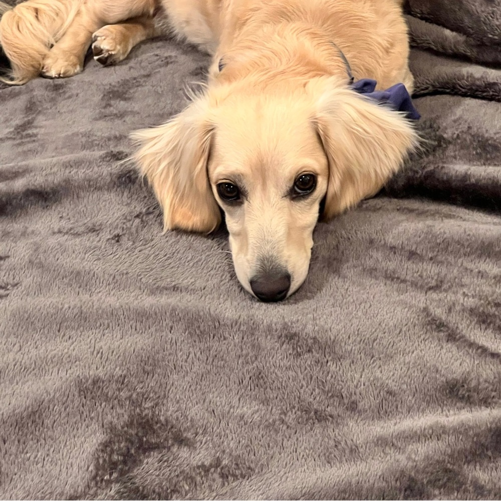 Meet your Posher, Jo